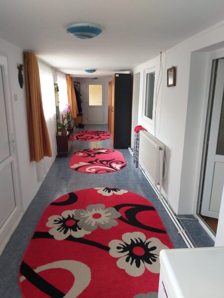 Mitreni, judet Calarasi, sat Valea Rosie,